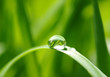 water drops