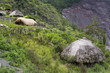 A traditional village in Papua