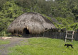 A traditional village in Papua