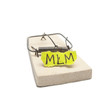 MLM risk concept