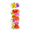 Buchstabe Blume klein - i
