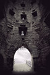 medieval castle gate medieval castle gate