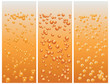 Beer bubbles