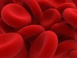 Red blood cells