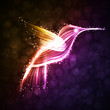 Neon hummingbird, abstract lights vector backgrounds eps10