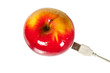 Red juicy fresh apple with USB