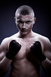 portrait of a young boxer