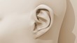EAR1
