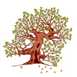 Hollow tree