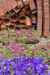Préparation de massifs de fleurs en ville Préparation de massifs de fleurs en ville