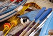 A pussycat between colorful rowing boats A pussycat between colorful rowing boats