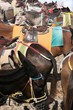 Foto: Esel auf Santorin Esel auf Santorin