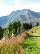 Hiking in French Alps