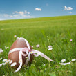 chocolate easter egg in landscape