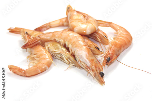 Photo: crevettes crevettes