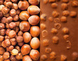 Hazelnut Chocolate