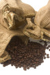 Photo: Couleur café Couleur café