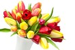 Tulpen