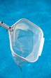 picker of the pool surface