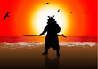 A stock Vector illustration of a Japan Landlord on Sunset Beach