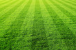 canvas print picture - gruens fussballfeld