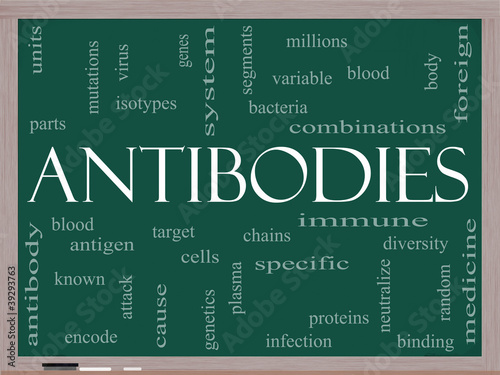 Illustration: Antibodies Word Cloud Concept on a Blackboard Antibodies Word Cloud Concept on a Blackboard