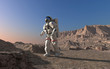 The astronaut