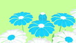 Video: Spring Flowers Spring Flowers