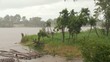 Gewitter im Regenwald, Amazonas