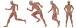High resolution conceptual man anatomy