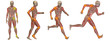 High resolution conceptual man anatomy