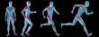 High resolution conceptual man anatomy