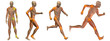High resolution conceptual man anatomy High resolution conceptual man anatomy
