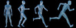 High resolution conceptual man anatomy High resolution conceptual man anatomy