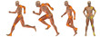High resolution conceptual man anatomy High resolution conceptual man anatomy