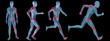 High resolution conceptual man anatomy High resolution conceptual man anatomy