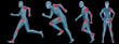 High resolution conceptual man anatomy High resolution conceptual man anatomy