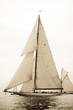 voile