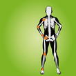 High resolution conceptual human anatomy High resolution conceptual human anatomy