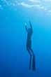 diver