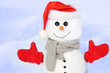 Snowman against snowy field.