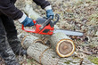 lumberman working closeup II