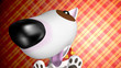 dog looks into camera dog looks into camera