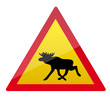 Elchschild