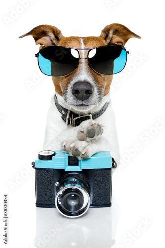 Foto: dog photo camera dog photo camera