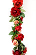 Rosen