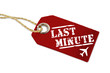 Holzanhänger mit Last Minute
