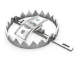 100 dollars in a bear trap 100 dollars in a bear trap