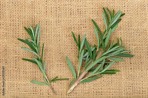 Photo: Sprigs of Rosemary Sprigs of Rosemary