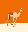 Vector: camel on an orange background camel on an orange background
